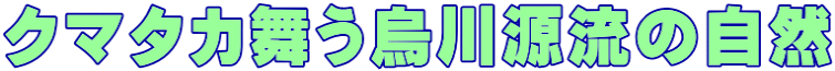 �N�}�^�J�����G�쌹���̎��R